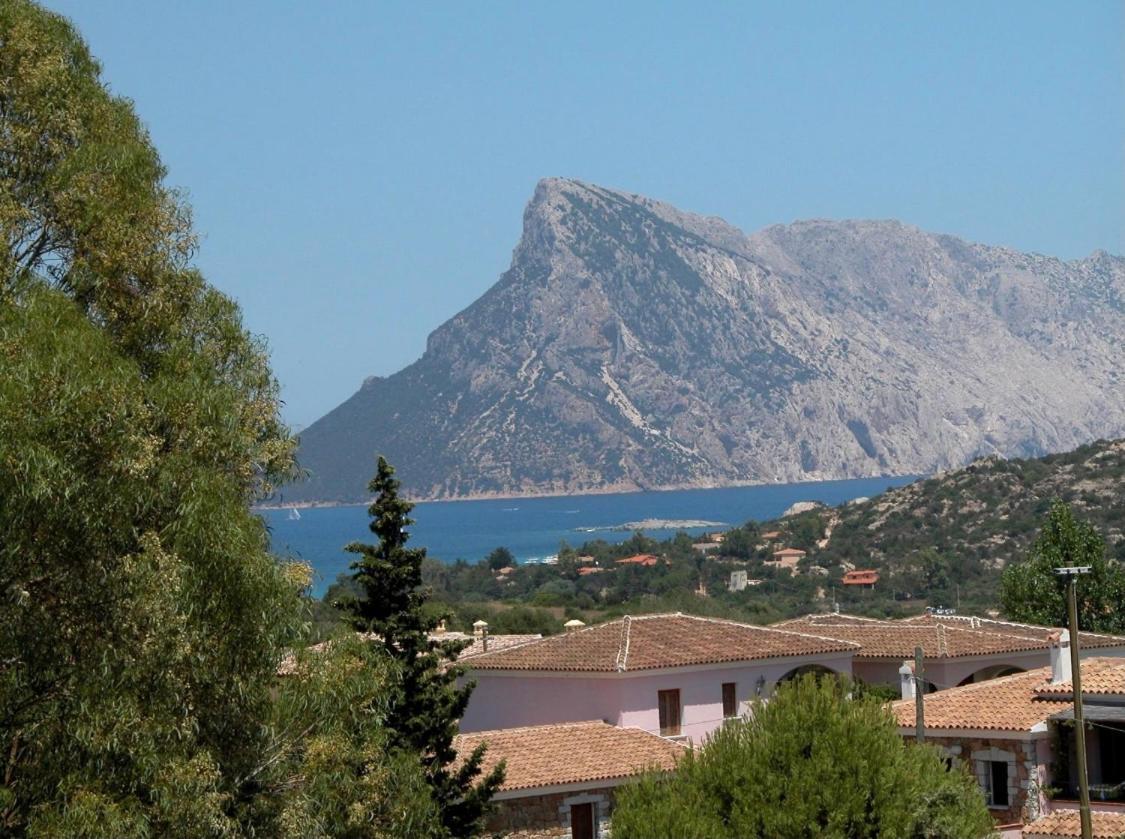 Residence Agrifoglio Monte Petrosu Exterior foto
