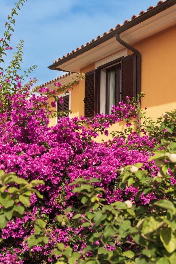 Residence Agrifoglio Monte Petrosu Exterior foto